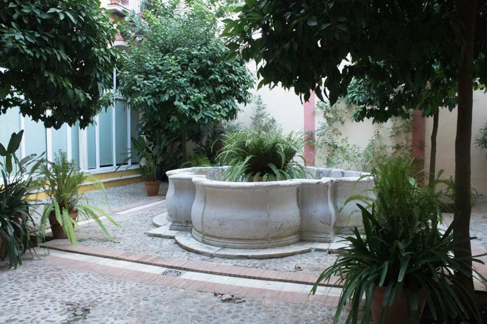 Apartment Santa Ana Donkey Sevilla
